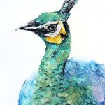 IMG_7937-min